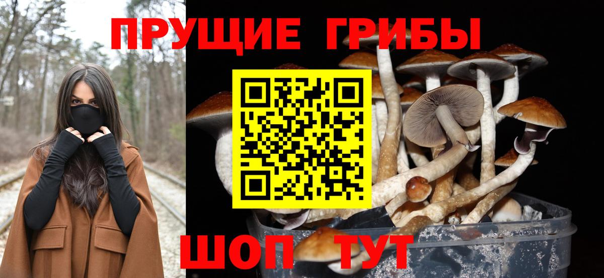 Нововоронеж  Галлюциногенные грибы MAGIC MUSHROOMS  Вход с VPN 