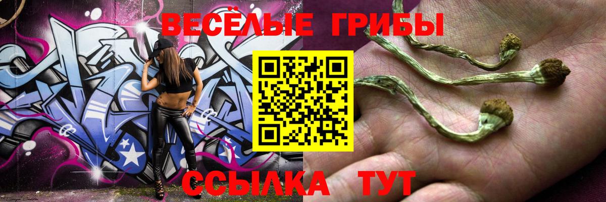Галлюциногенные грибы Psilocybine cubensis Нововоронеж